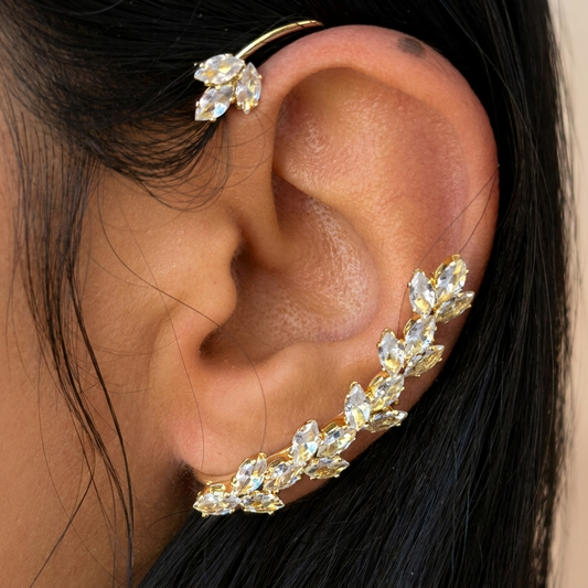 Aureli (Gold)